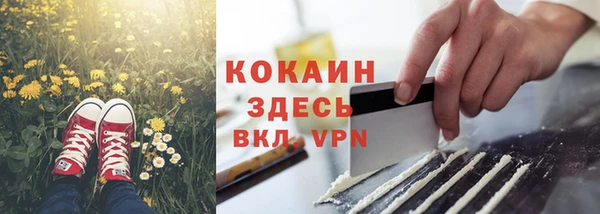 дживик Аркадак
