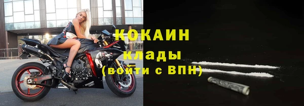 дживик Аркадак
