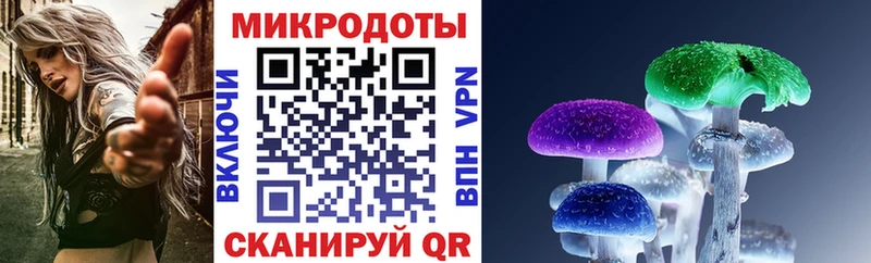 shop как зайти Судак Галлюциногенные грибы мицелий